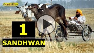 (1) Sandhwan (Nawanshahr) Ox Race 17 May 2015