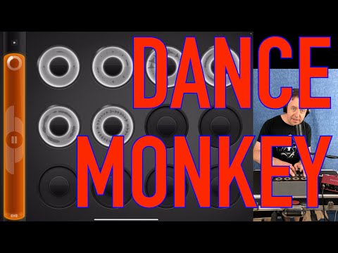 Tones And I - Dance Monkey -🕺🐵 - Loopy HD Vocal Loop Cover