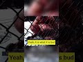 How Anthony Smith LOST TEETH In A UFC Fight Smith Vs Teixeira Shorts Mma UFC Gloverteixeira
