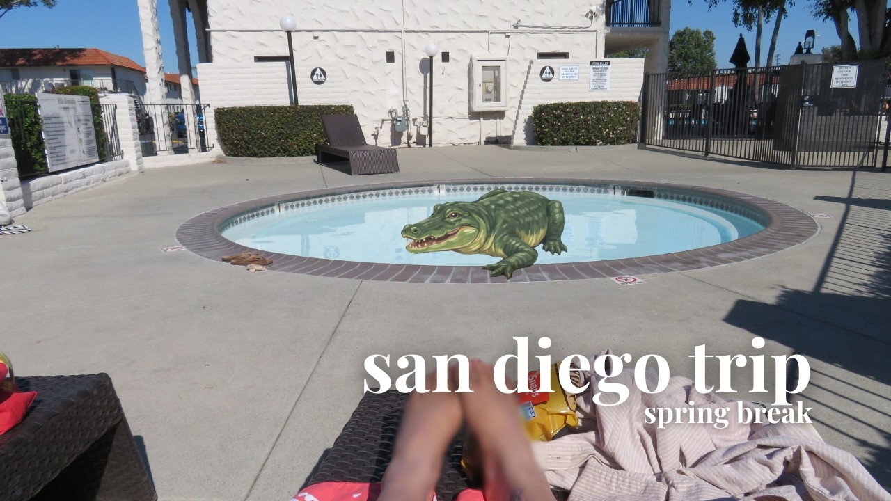 3 alligators in a pool | san diego vlog 1