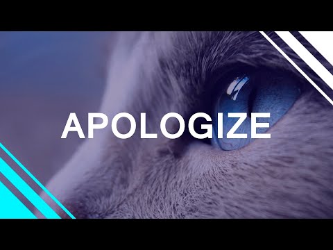 Nippandab, Future Friends, Émilie Rachel - Apologize