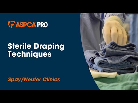 Spay/Neuter Surgery: Sterile Draping Techniques