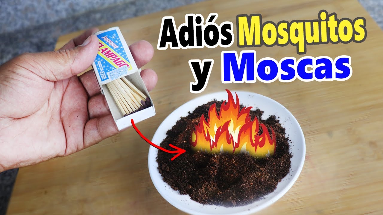 👉QUEMA ESTO Y EN UNOS SEGUNDOS NO HABRA NI MOSCAS NI MOSQUITOS - Mejor que Cualquier Repelente!