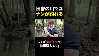 田舎の川ではナンが釣れる