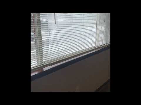 4011 St Paul-4 Plex - Video 2 of 2