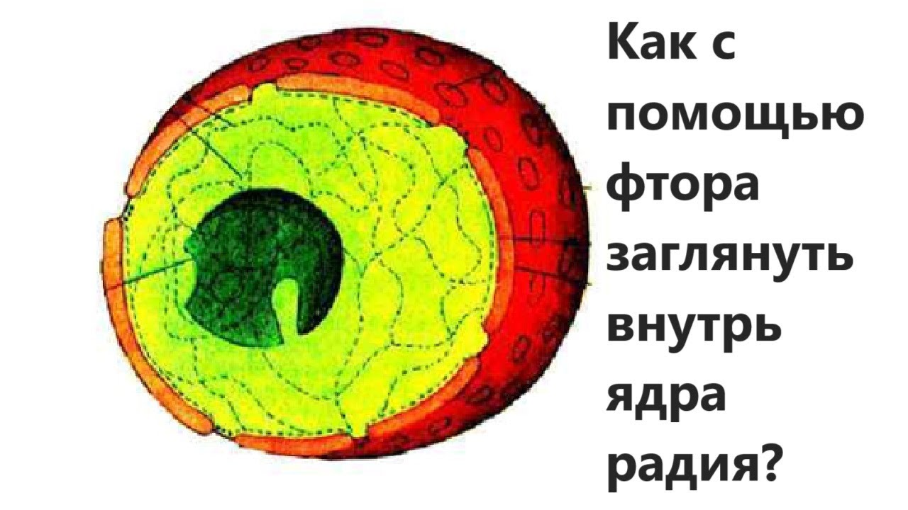 Как с помощью фтора заглянуть внутрь ядра радия?