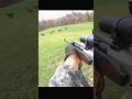 Hunting A Herd Of Red Deer Hunting Deer Moose Chasse