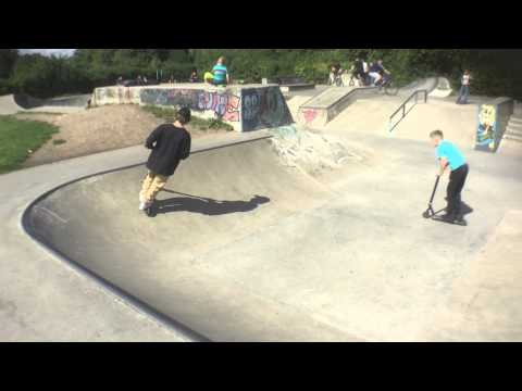 Freddie Morton - 1 day ting