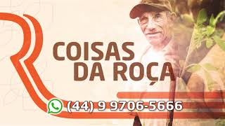 Miniatura do vídeo