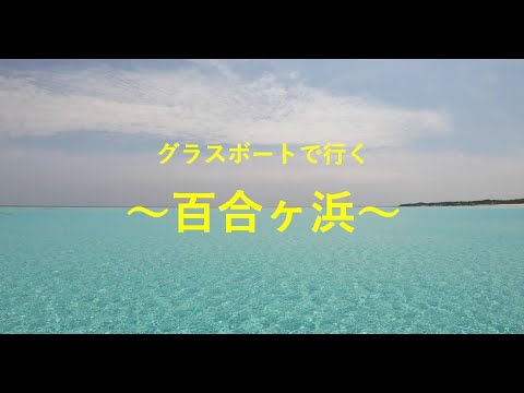 【ヨロン島紹介】グラスボートで百合ヶ浜へ