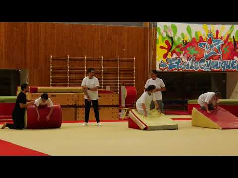 Les 10 ans de la section HandiGym