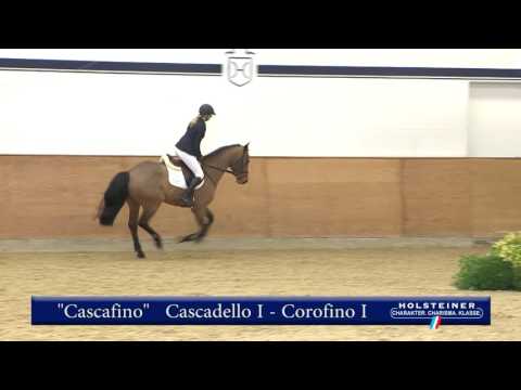 107. Cascafino v. Cascadello I - Corofino I