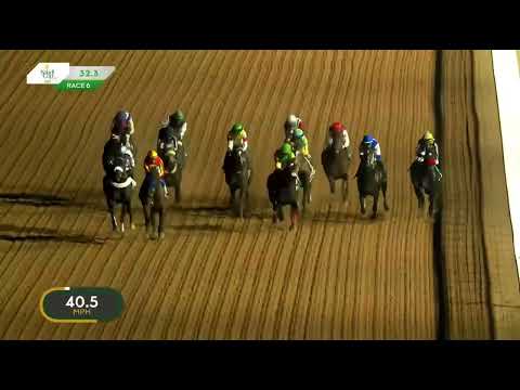 COMMISSIONER KING - Saudi Derby 2023