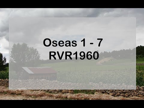 La Biblia en un año/Oseas 1 - 7 (Audio, Letra) Día 337