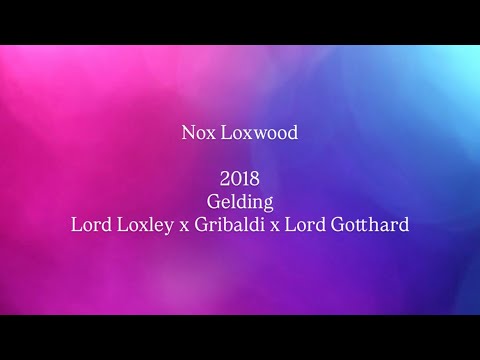 youtube preview