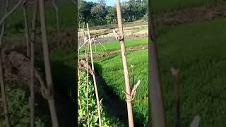 Download lagu story WA sedih | Rindu Almarhum Bapak π’π mp3 Download lagu story WA sedih | Rindu Almarhum Bapak π’π mp3