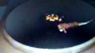 Fever: Performed By Laura Hovermale