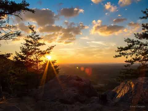 bora fırlangeç - soğuk odalar