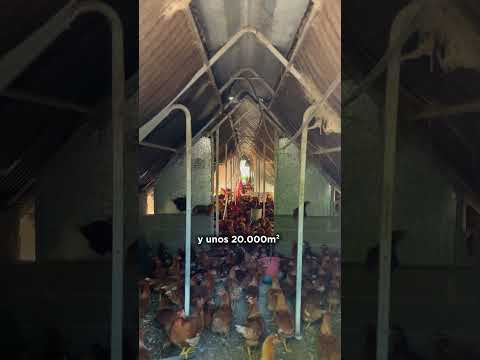 Chacra en venta - Los Molles, Córdoba