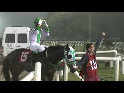 29/06/2019 – Hipodromo Maroñas – Carr 14 – GRAN CRITERIUM (POTRILLOS)