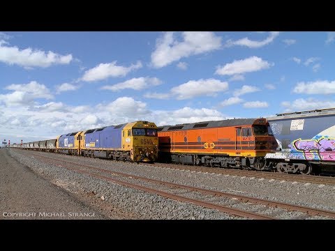 Pacific National 7731V Grain Train Crosses 3AK1 GWA Grain Train - PoathTV Australian Railways