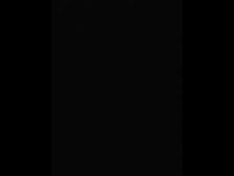 "Working For Money Raps" by:Lil Twiggs