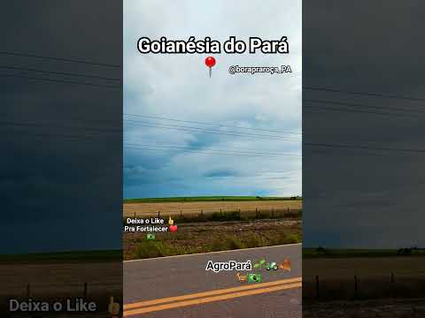 Tempestade em Goianésia Do Pará 📍  #roça #campo #agro #soja #milho #para #news #mundo #tempestade