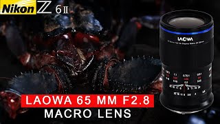 Laowa 65 mm 2.8 Macro | Nikon Z6II | Z50 | Fujifilm | Best Budget Macro LENS EVER?