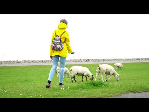 A Day in Büsum 🌊 vacation video