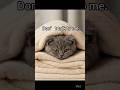 Bathtime Drama 001 One Loves It One Hates It One Ceases To Exist EP 01 Aianimation Cat