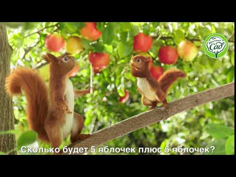 Вкусный 100% сок «Фруктовый сад»: 10 яблок в каждой пачке!