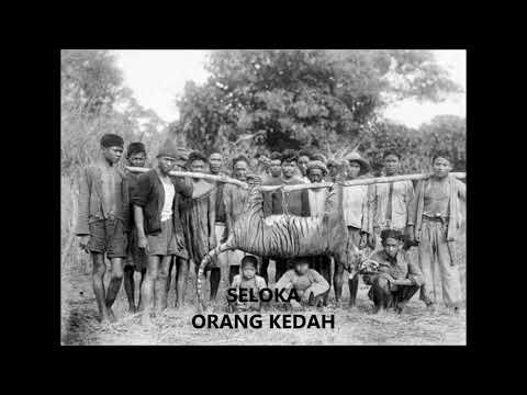 Seloka Orang Kedah ~Dj Edd (Versi Memburu RIMAU)
