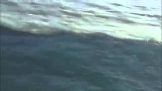 He has Brought Together the Two Seas But They Do Not Mix