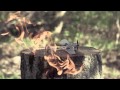 MOMOFOKO - WE KNOW (OFFICIAL VIDEO) 