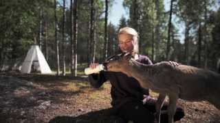 preview picture of video 'Summer at the Arctic Circle, Rovaniemi, Lapland'