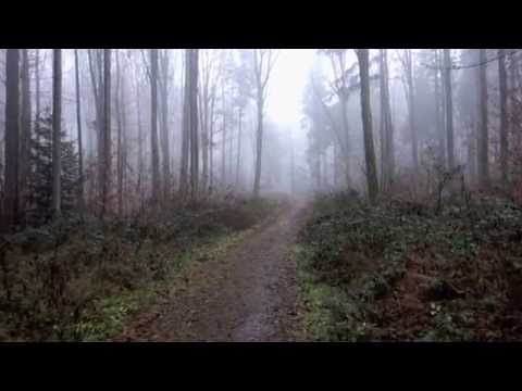 teaser #1 | you have no idea | the estate