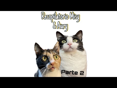 Recopilatorio 2 Misy & Aury