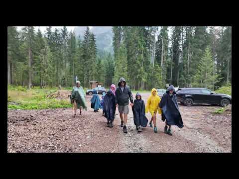 Val Visdende, una passeggiata nel verde tra abeti rossi e acqua.