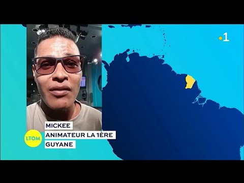 Ziktruck Finale - conseils de Mickee 3000
