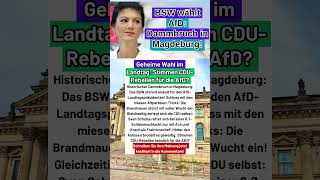 Dammbruch! BSW stimmt für AfD-Mann & CDU zerlegt sich mit 8:7 selbst #