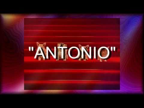 download lagu mp3 mp4 Felicidades Antonio, download mp3 Felicidades Antonio free downloadn, video klip Felicidades Antonio