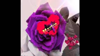 Los Trio - Ya es muy tarde