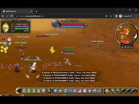 FLYFF UNIVERSE LEECHING