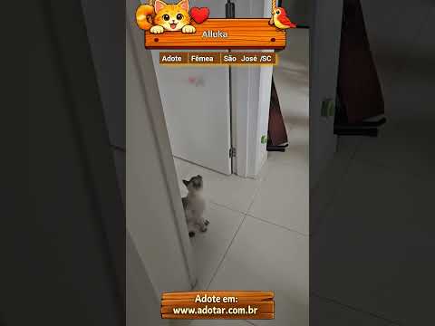 Vídeo de Alluka
