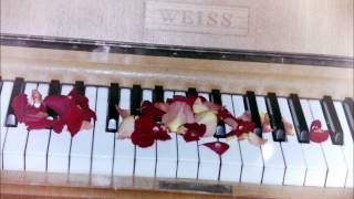 So wie ich bin - mein Flaschengeist