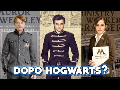 HARRY POTTER after HOGWARTS - What happened to the characters?