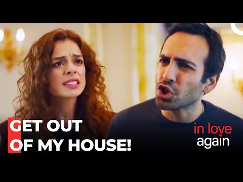 A Huge Fight Between the Newlyweds - In Love Again