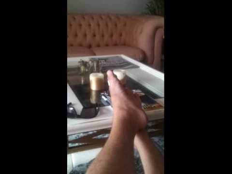 Calopisita Elvis cantando Kill Bill