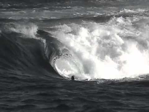 West Oz: Mitch Rawlins & Friends