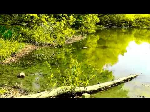 becixmat - Relax 1258 - Klasická hudba - Classical music - mix